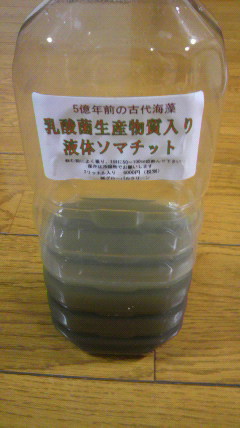 2015010722290000.jpg